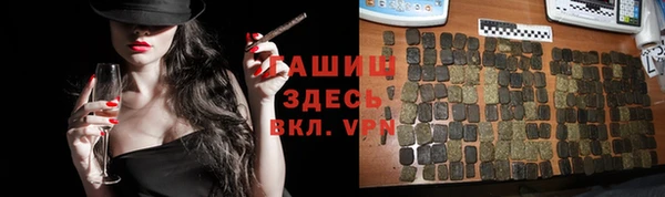 PSILOCYBIN Алзамай