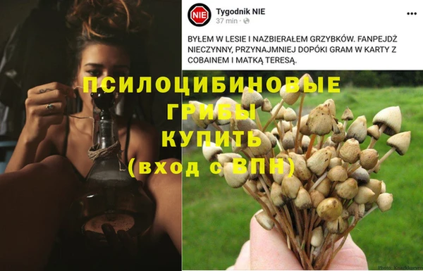 ECSTASY Алексеевка